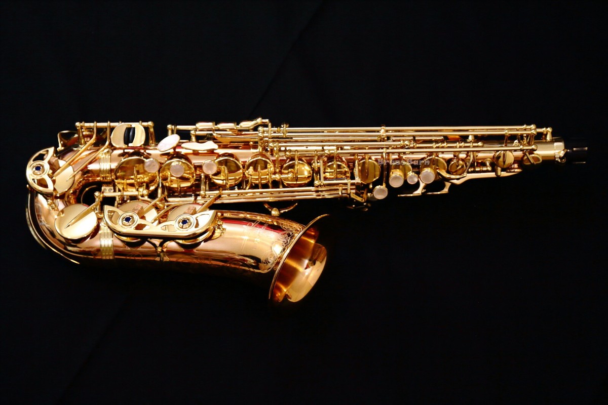 🔥NEW 2026 Yanagisawa A-WO20 (AWO20) Elite Bronze Alto Saxophone