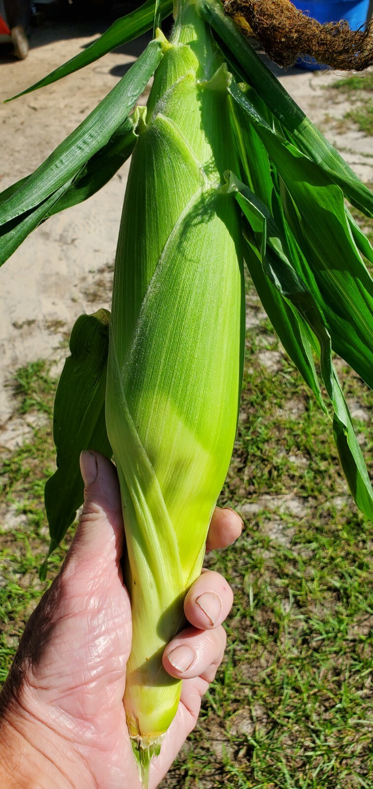 Picture 1 of 1