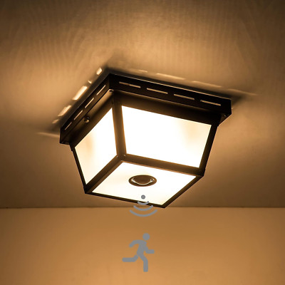 2-Light Motion Sensor Outdoor Ceiling Light Fixture with Textured Glass