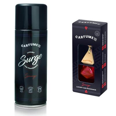 Sauvage Air Freshener Car Fume Diffuser Surge Can Twin Pack For