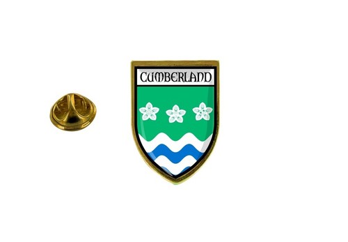 pins pin badge pin's souvenir ville drapeau pays blason longford