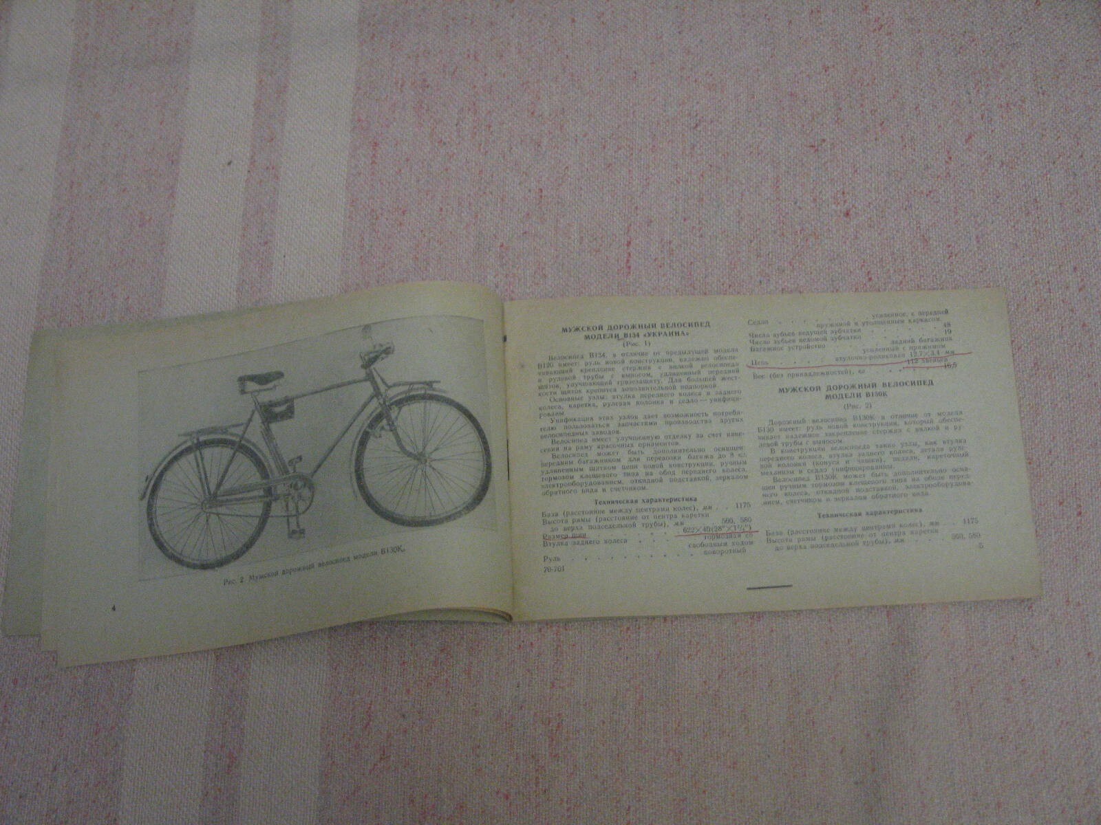 Picture 4 of 11