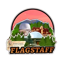 Flagstaff Arizona  America Refrigerator magnet 3D travel souvenirs wood craft