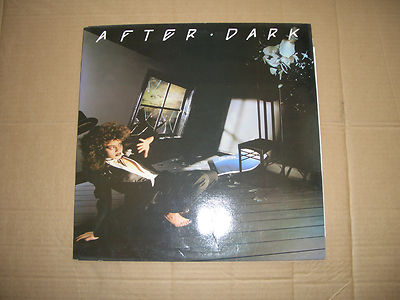 AFTER DARK   V.A. VINYL LP POSTER   REO SPEEDWAGON, GLADYS KNIGHT, HEATWAVE ETC
