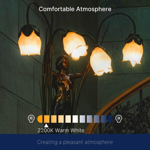Versatile 40W Equivalent Dimmable Amber LED Bulbs for Stunning Indoor Spaces - Picture 8 of 10