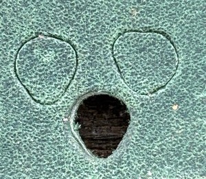 F Klement Leipzig Bookbinding Onlay Punch Manufactured in 1898 - #1