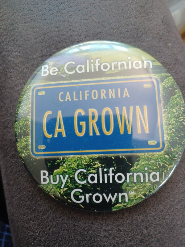 Be Californian CA Grown Buy California Pinback Button