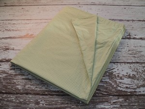 Pottery Barn Kids Green Gingham Duvet Cover Twin Size Check