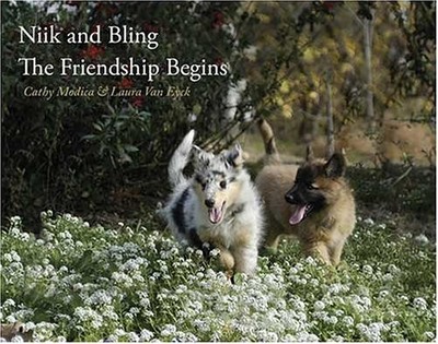Niik and Bling The Friendship Begins