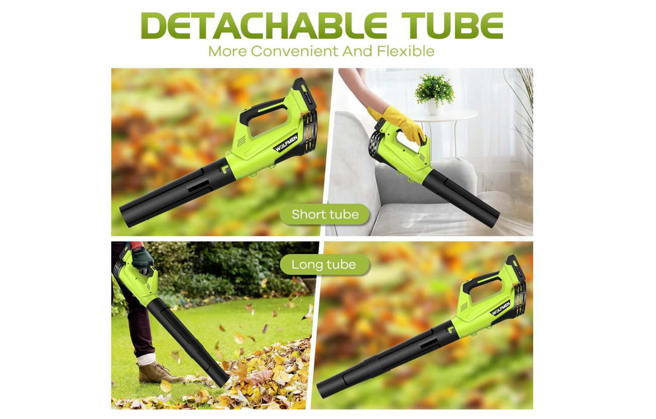 Cordless Electric Leaf Blower with 2 Batteries, 2-Speed, Lightweight Tool