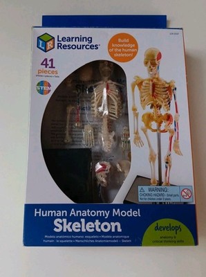 Learning Resources Human Anatomy Skeleton, 41 Teile