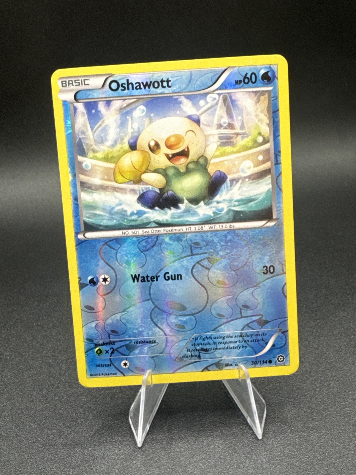 Oshawott 2016 Pokemon Steam Siege 30/114 Reverse Holofoil Common TCG Card