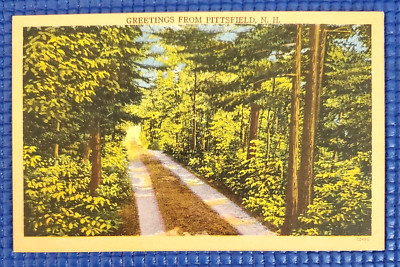 Vtg c1930s Tree Lined Dirt Road Greetings from Pittsfield New Hampshire Postcard