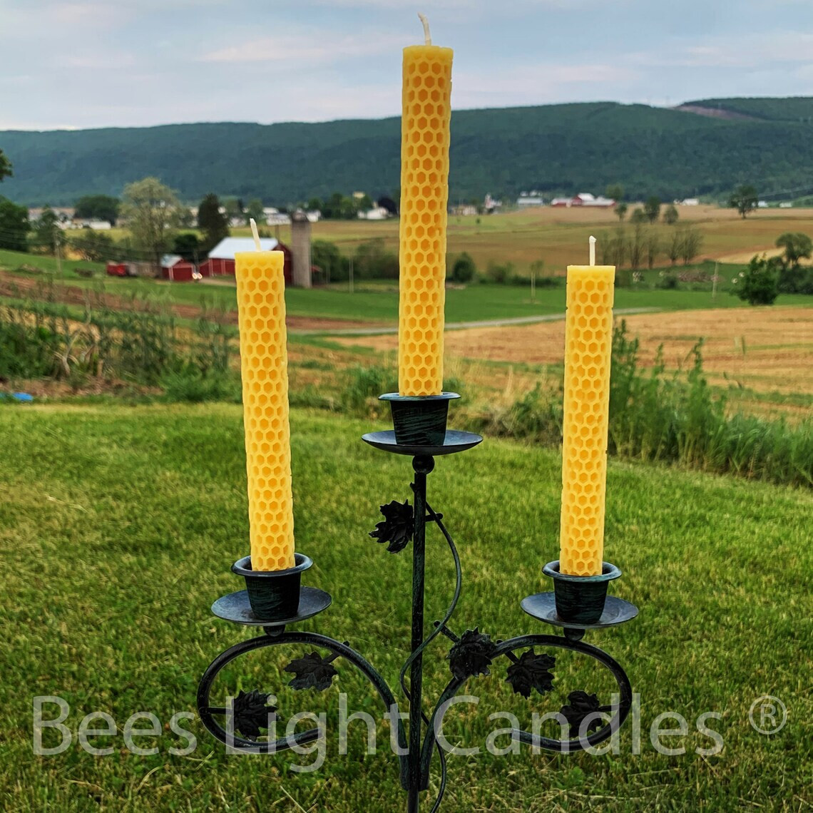 Taper Candles / Natural Beeswax Candle / Candelabra / Bees