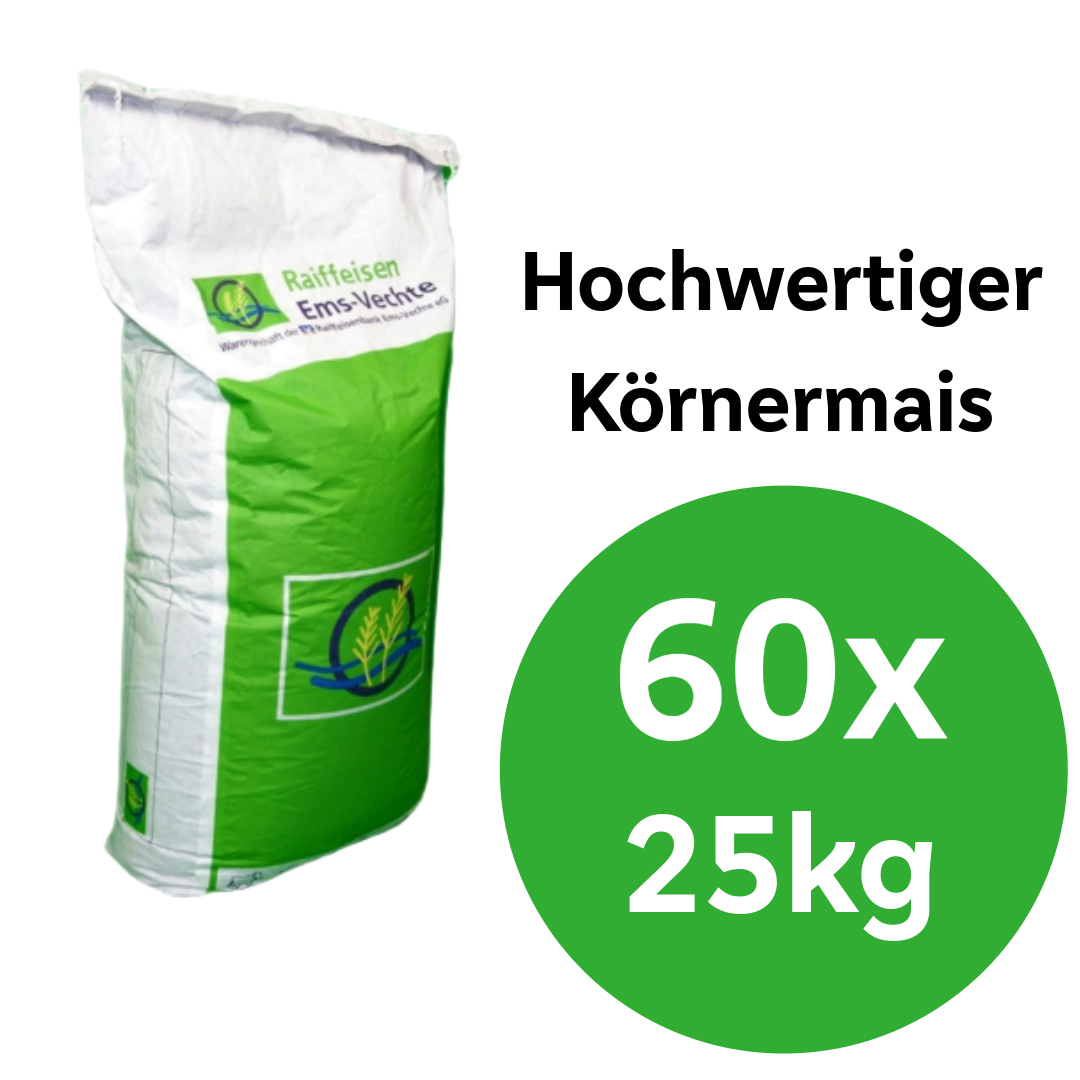 Bild 1 von 1