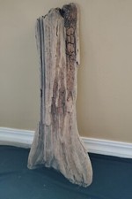 Rough Oregon Driftwood Woodworking Wood Carving Decorative Landscaping