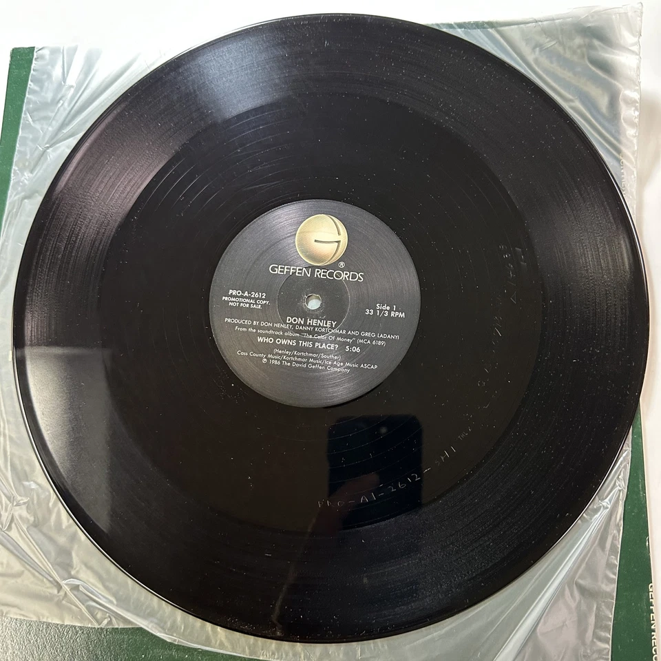 Who Owns This Place? Record Vinyl 12” Don Henley Geffen 2612 Pop Foto 4 de 4