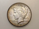 1934 $1 PEACE SILVER ONE DOLLAR TONED
