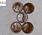 (5) 1915-D-1919-D Lincoln Wheat Penny Cent Set/Lot ~ Fine/VF ~ Date Run ~ ZWL45