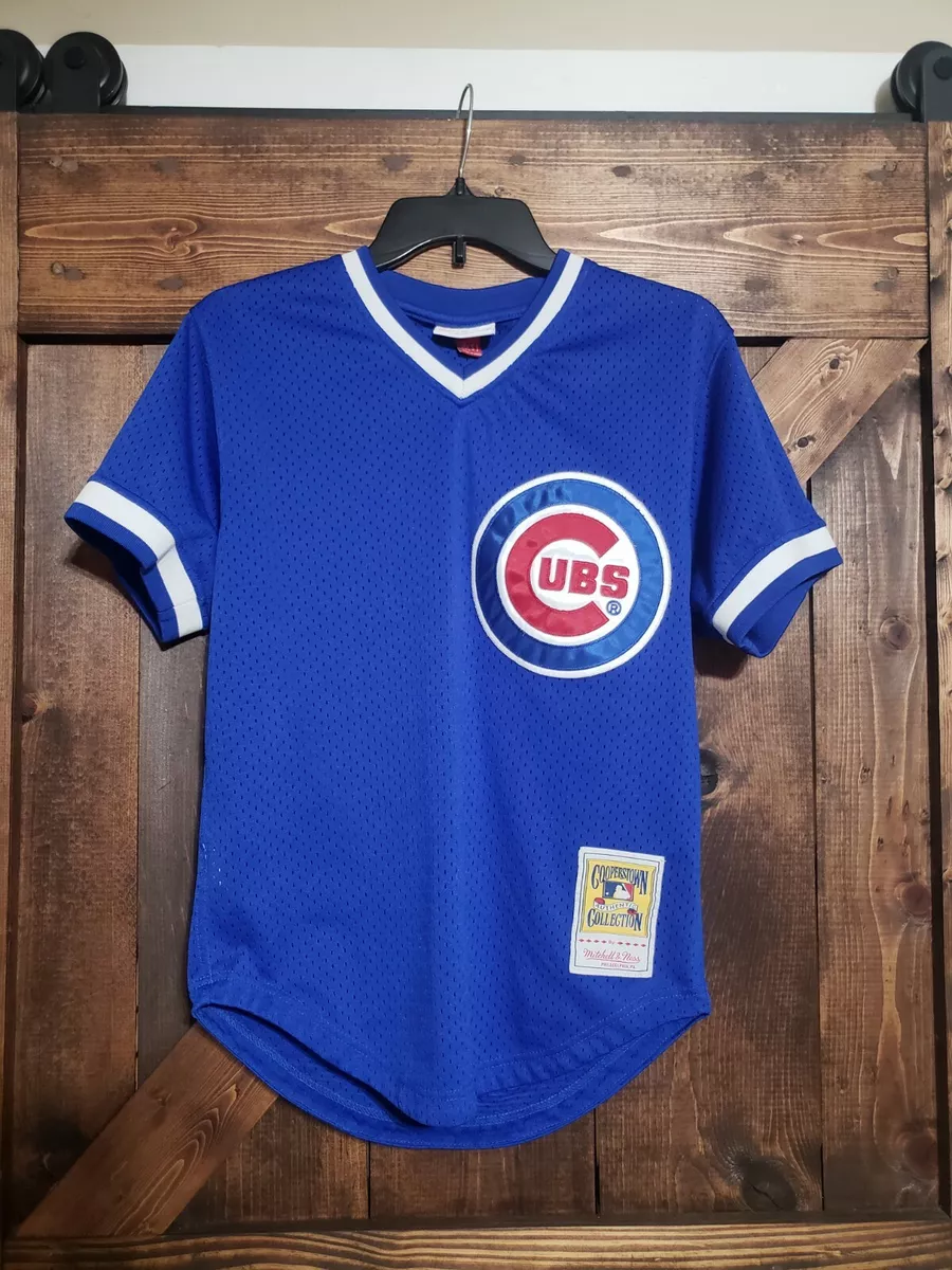 Authentic Mitchell & Ness Chicago Cubs #23 Baseball Jersey New