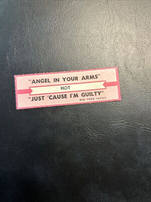 1 JUKEBOX TITLE STRIP Hot Angel In Your Arms/Just Cause I m Guilty Big Tree 45