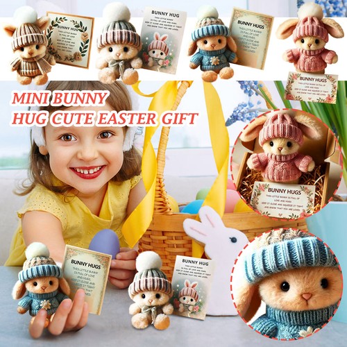 Little Plush Bunny With Knitted Hat & Ball Soft Pocket Bunny With Gift Box Card