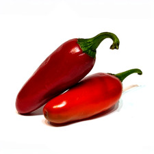 Samen Pepperoni „Joyride“  10+ Samen 8000 Scoville Chili