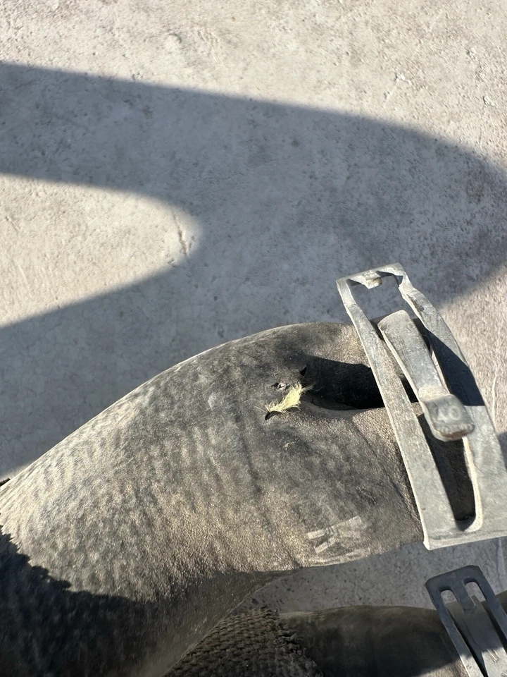 2018 Lamborghini Huracan Audi R8 RH Coolant Pipe 4S0121064E - Image 3 of 4