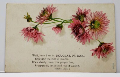 Well Here I am In Douglas N. DAK. Flowers 1910 To Tolna Postcard G10