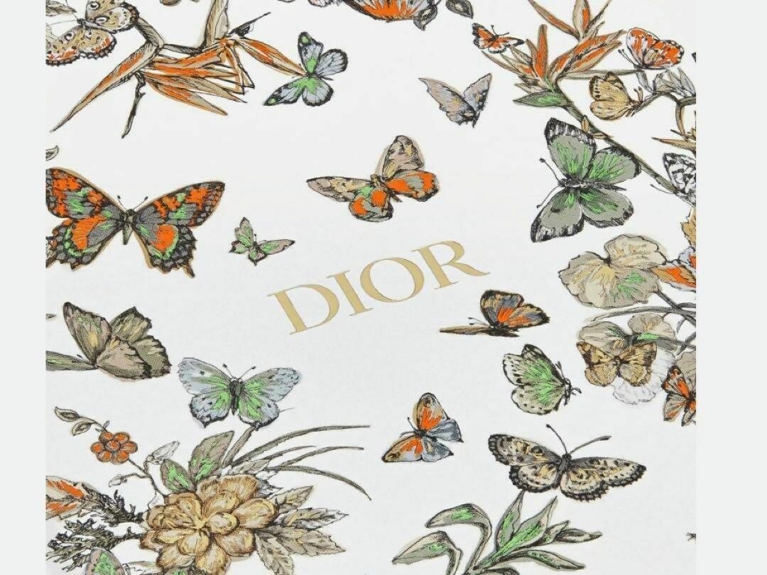 Christian Dior Notebook 2024 Holiday butterfly White hard cover