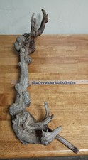 29" L x 9"W Driftwood Root w/Burls Lots of Character Clean Versatile Tanks Decor