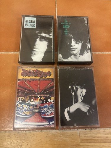The Waterboys Cassette Lot S/T A Pagan Place This Is The Sea Room To Roam VG+ - Zdjęcie 1 z 10