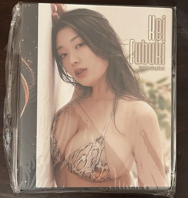 New Hit s Kei Fubuki Vol.2 Trading Card Ticket Only Binder Ver B Japanese Idol