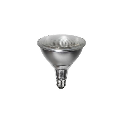 Star Trading LED-Lampe Spotlight Outdoor, E27, PAR38, Silber, Warmweiß, Außenber