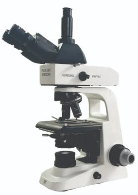 Research Fluorescent Microscope 20MP, 10x - High-Resolution for Scientific Study