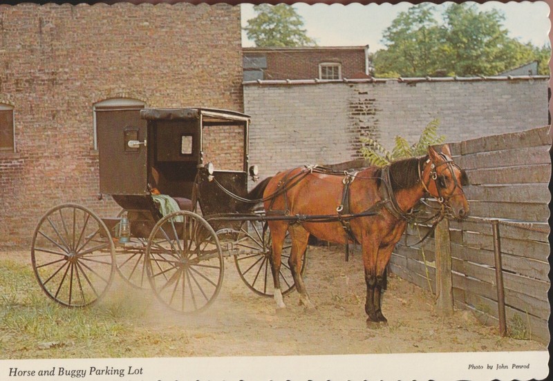 Postcard Horse and Buggy Parking Lot Amish Northern Indiana, UNP