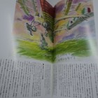 Bild 8 von 9