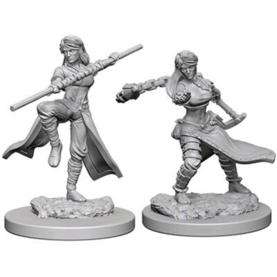 Dungeons and Dragons Nolzurs Marvelous  Wave 1: Human Female Monk New