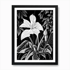 White Trillium Wildflower Linocut 1 Framed Wall Art Poster Canvas Print Picture