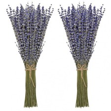 Timoo Dried Lavender Bundles 100 Natural Dried Lavender Flowers for Home Deco...