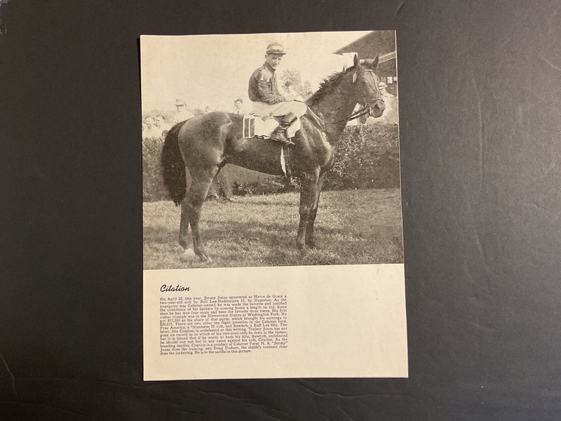 CITATION 8 x 11 photo Horse Racing DOUG DODSON