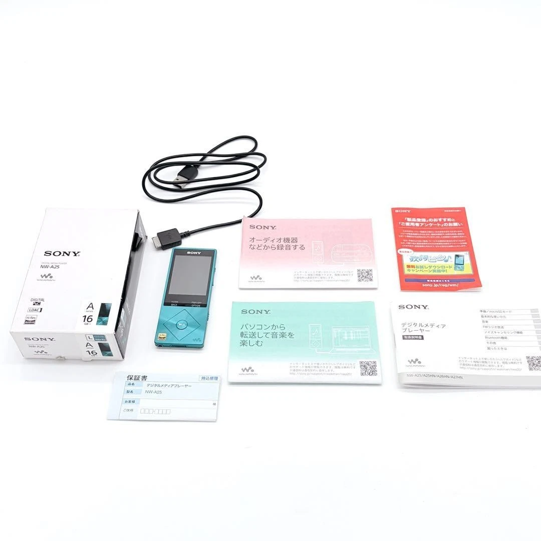 Sony Walkman A Series Blue MP3 Players for sale | eBay