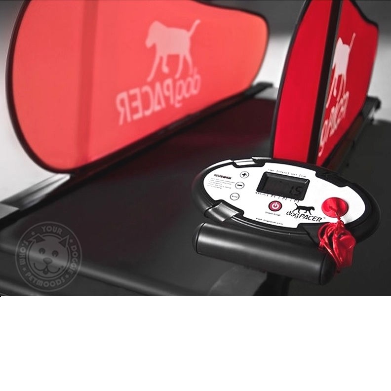 dogPACER Minipacer Treadmill (91658) for sale online eBay