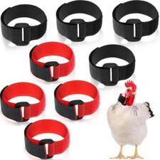 4Pcs Anti Crow Collar for Roosters Cockerel No Crow Noise Neck Belt Nylon