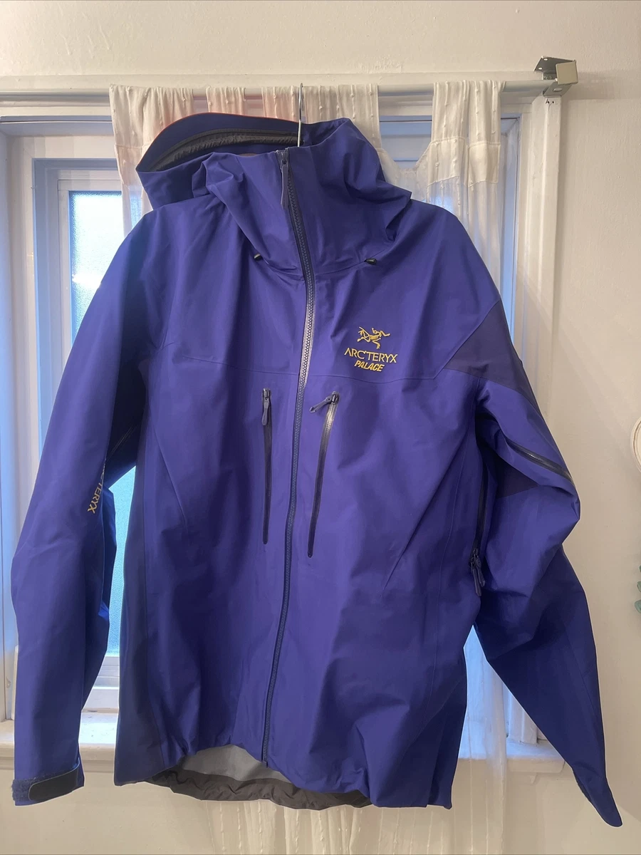 Arc'Teryx Palace Alpha Sv Jacket Mens Large Hard To Find