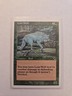Lone Wolf - Starter 1999 - LP - MTG Magic - Common - Creature 