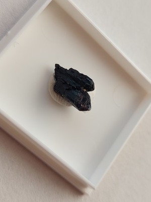 Neptunit, San Benito Gem Mine, San Benito County, Californien, U.S.A. (N-14)