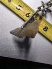 2.8" Translucent Chalcedony Palmer / Kirk Point - Fine Serrated Corner Notched — photo 8