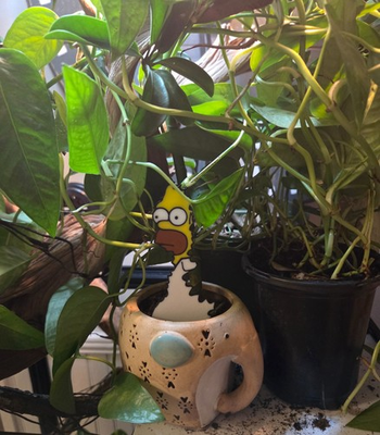 #ad Homer Simpson Hiding in Bush Meme Plant Pal Garden Buddy $4.99