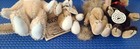 Bild 3 von 9